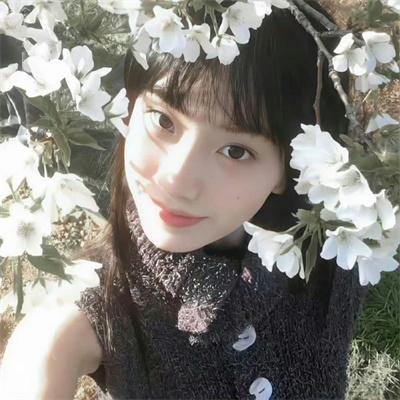 西线无战事